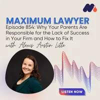 Maximum Lawyer artwork