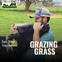 Grazing Grass Podcast | Rotational Grazing, Soil Health & Profitable Livestock Farming artwork