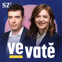 Ve vatě artwork