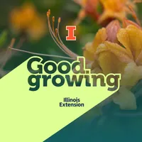 Good Growing artwork