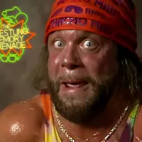 The Wrestling Memory Grenade artwork