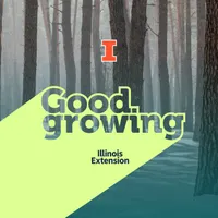 Good Growing artwork