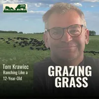 Grazing Grass Podcast | Rotational Grazing, Soil Health & Profitable Livestock Farming artwork