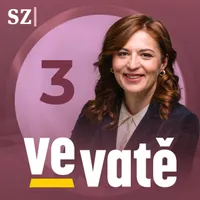 Ve vatě artwork