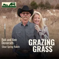 Grazing Grass Podcast | Rotational Grazing, Soil Health & Profitable Livestock Farming artwork