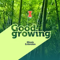 Good Growing artwork
