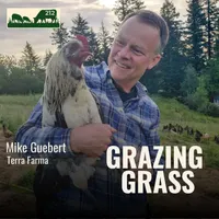 Grazing Grass Podcast | Rotational Grazing, Soil Health & Profitable Livestock Farming artwork