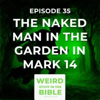 Weird Stuff in the Bible artwork