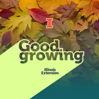 Good Growing artwork