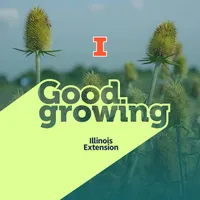 Good Growing artwork
