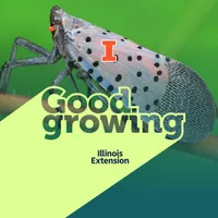 Good Growing artwork
