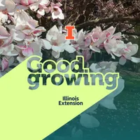 Good Growing artwork