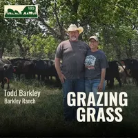 Grazing Grass Podcast | Rotational Grazing, Soil Health & Profitable Livestock Farming artwork