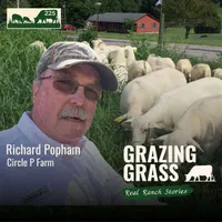 Grazing Grass Podcast | Rotational Grazing, Soil Health & Profitable Livestock Farming artwork