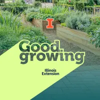 Good Growing artwork