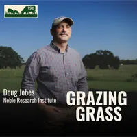 Grazing Grass Podcast | Rotational Grazing, Soil Health & Profitable Livestock Farming artwork