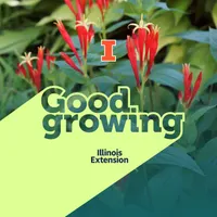 Good Growing artwork
