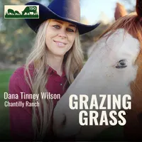 Grazing Grass Podcast | Rotational Grazing, Soil Health & Profitable Livestock Farming artwork