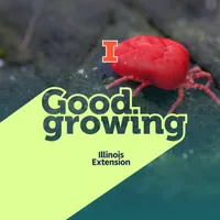 Good Growing artwork