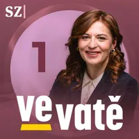 Ve vatě artwork