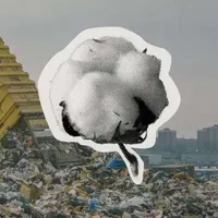 Second Nature artwork