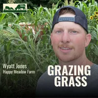 Grazing Grass Podcast | Rotational Grazing, Soil Health & Profitable Livestock Farming artwork
