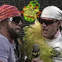 The Wrestling Memory Grenade artwork
