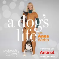 A Dog's Life with Anna Webb artwork
