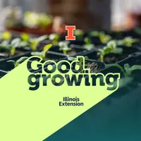 Good Growing artwork