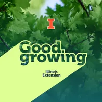 Good Growing artwork