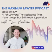 Maximum Lawyer artwork