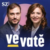 Ve vatě artwork