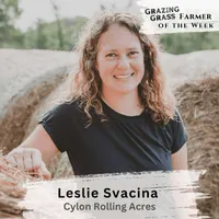 Grazing Grass Podcast | Rotational Grazing, Soil Health & Profitable Livestock Farming artwork