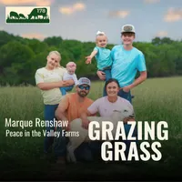 Grazing Grass Podcast | Rotational Grazing, Soil Health & Profitable Livestock Farming artwork