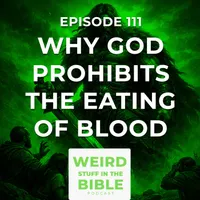 Weird Stuff in the Bible artwork