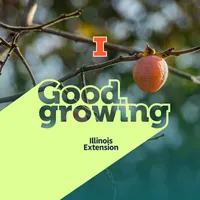 Good Growing artwork