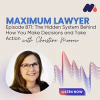 Maximum Lawyer artwork