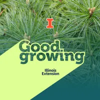 Good Growing artwork