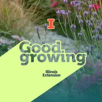 Good Growing artwork