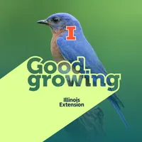Good Growing artwork