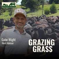 Grazing Grass Podcast | Rotational Grazing, Soil Health & Profitable Livestock Farming artwork