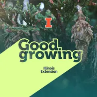 Good Growing artwork