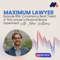Maximum Lawyer artwork