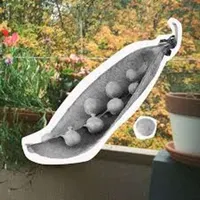 Second Nature artwork