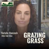 Grazing Grass Podcast | Rotational Grazing, Soil Health & Profitable Livestock Farming artwork
