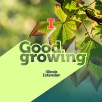 Good Growing artwork
