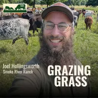 Grazing Grass Podcast | Rotational Grazing, Soil Health & Profitable Livestock Farming artwork