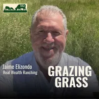 Grazing Grass Podcast | Rotational Grazing, Soil Health & Profitable Livestock Farming artwork