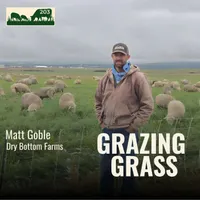 Grazing Grass Podcast | Rotational Grazing, Soil Health & Profitable Livestock Farming artwork