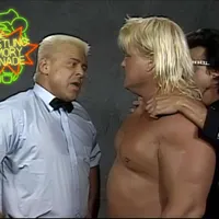 The Wrestling Memory Grenade artwork